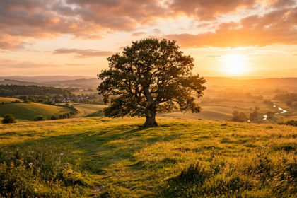 Golden hour w fotografii i filmie – czym jest złota godzina i jak ją wykorzystać?